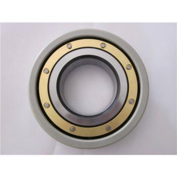 20 mm x 47 mm x 14 mm  FAG NJ204-E-TVP2  Cylindrical Roller Bearings
