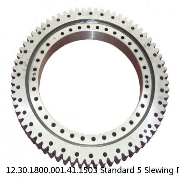 12.30.1800.001.41.1503 Standard 5 Slewing Ring Bearings