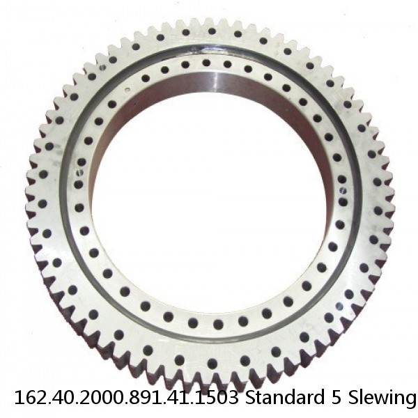 162.40.2000.891.41.1503 Standard 5 Slewing Ring Bearings