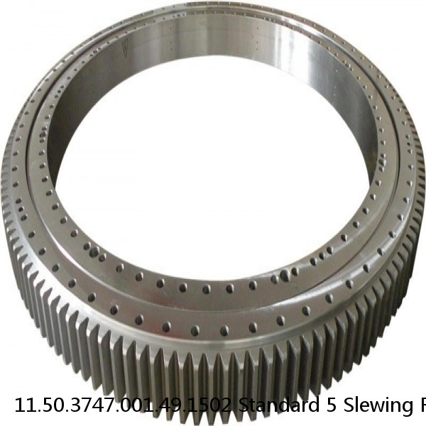 11.50.3747.001.49.1502 Standard 5 Slewing Ring Bearings