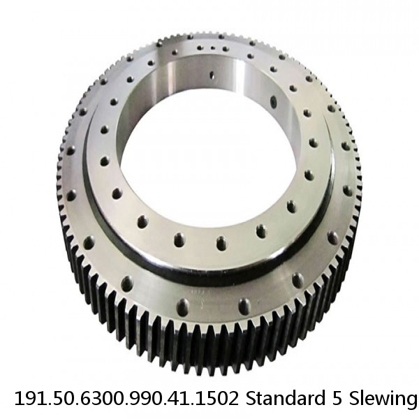 191.50.6300.990.41.1502 Standard 5 Slewing Ring Bearings