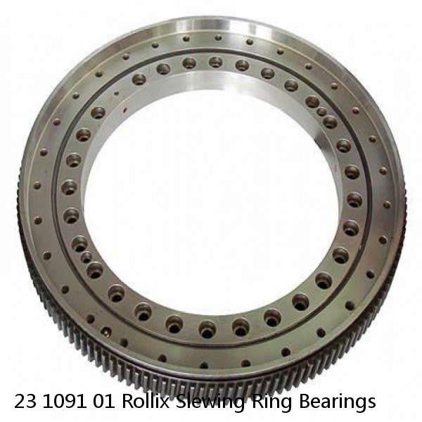 23 1091 01 Rollix Slewing Ring Bearings