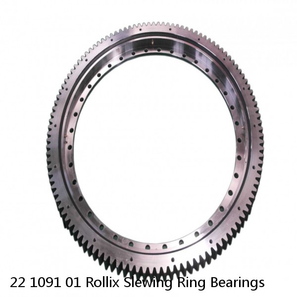 22 1091 01 Rollix Slewing Ring Bearings