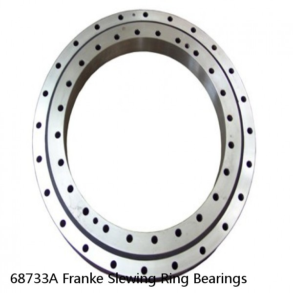 68733A Franke Slewing Ring Bearings