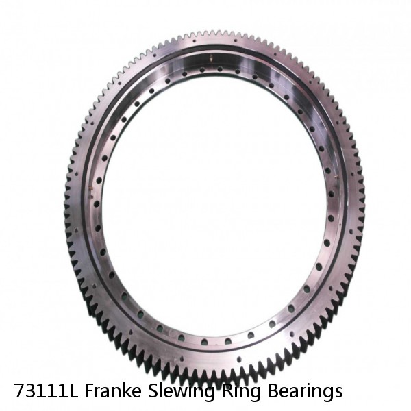 73111L Franke Slewing Ring Bearings