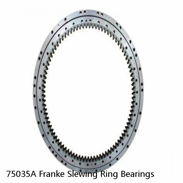 75035A Franke Slewing Ring Bearings