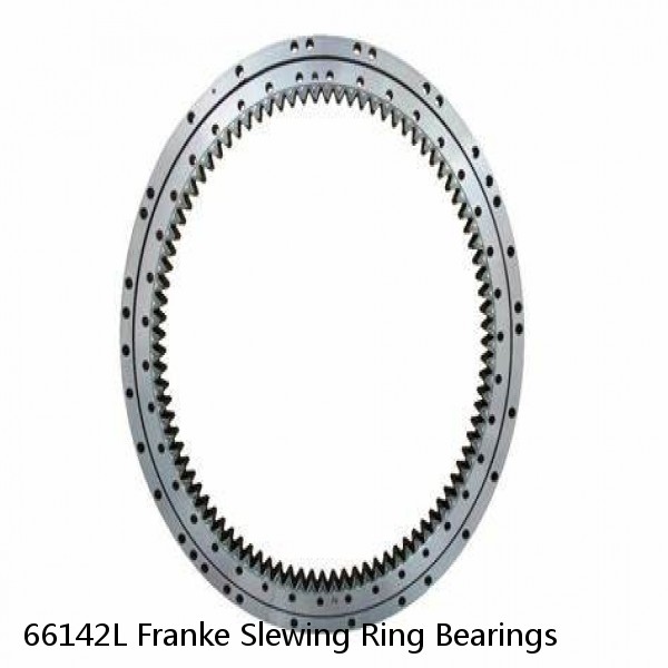 66142L Franke Slewing Ring Bearings