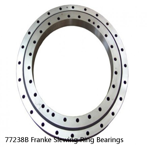 77238B Franke Slewing Ring Bearings