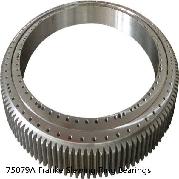 75079A Franke Slewing Ring Bearings