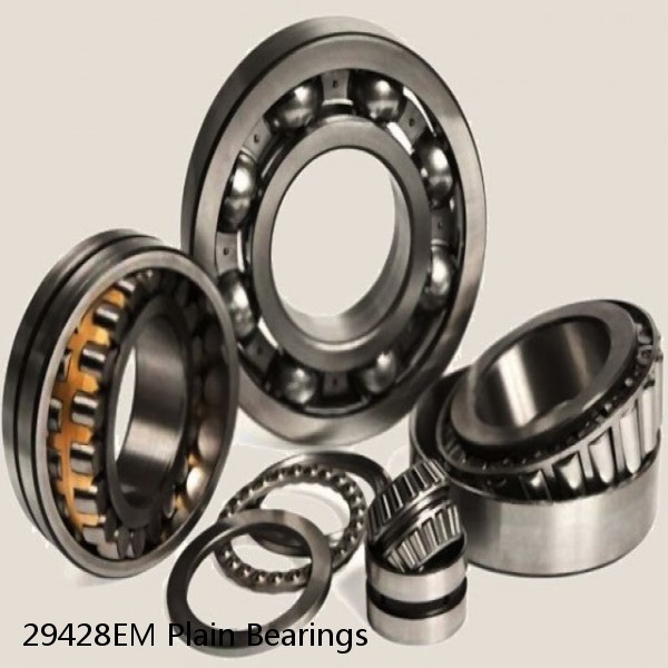 29428EM Plain Bearings