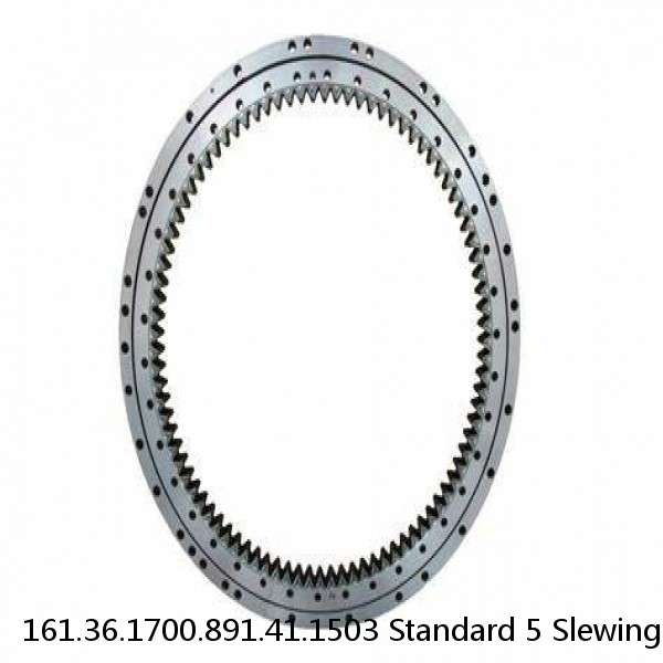 161.36.1700.891.41.1503 Standard 5 Slewing Ring Bearings