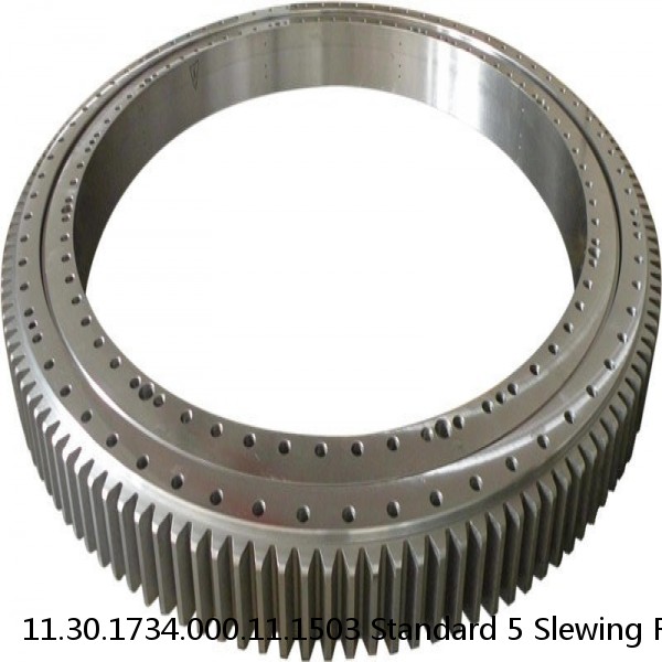 11.30.1734.000.11.1503 Standard 5 Slewing Ring Bearings