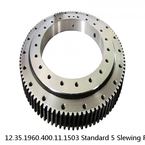 12.35.1960.400.11.1503 Standard 5 Slewing Ring Bearings