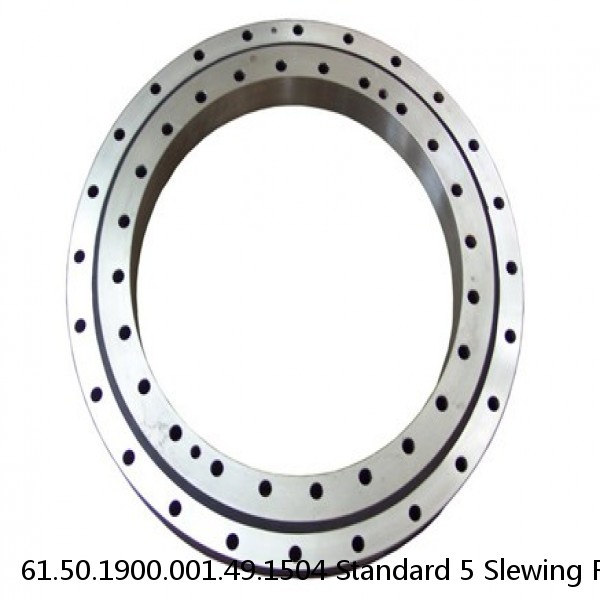 61.50.1900.001.49.1504 Standard 5 Slewing Ring Bearings