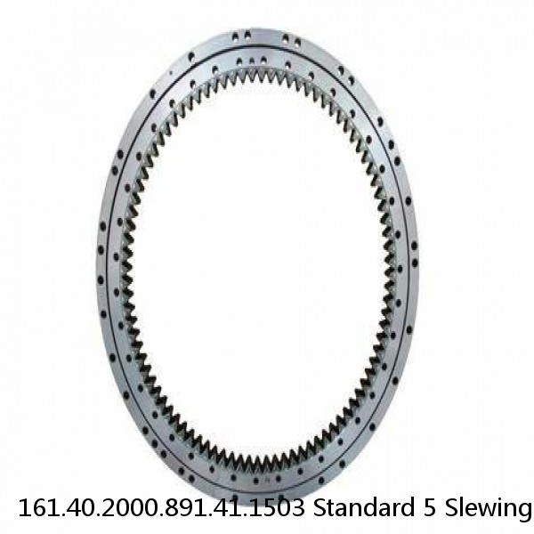 161.40.2000.891.41.1503 Standard 5 Slewing Ring Bearings