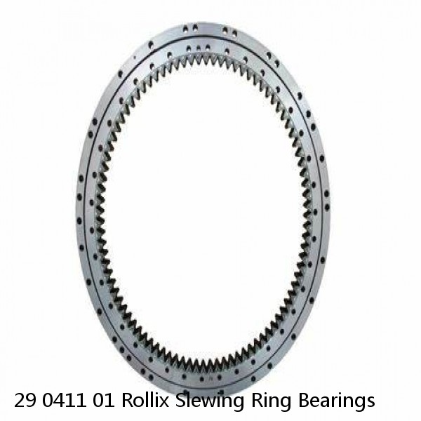 29 0411 01 Rollix Slewing Ring Bearings