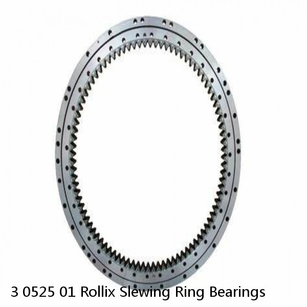 3 0525 01 Rollix Slewing Ring Bearings