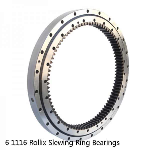 6 1116 Rollix Slewing Ring Bearings