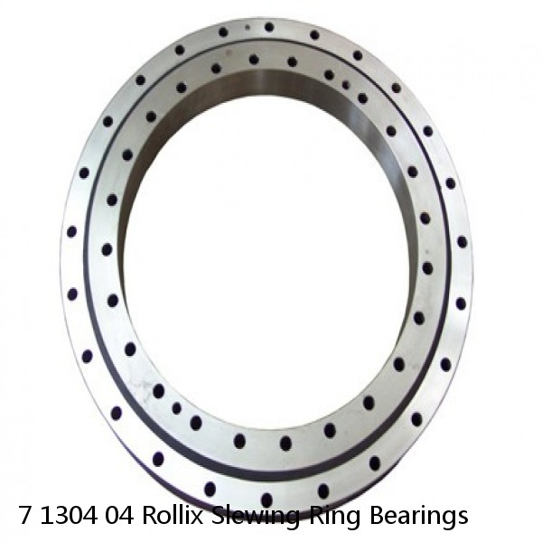 7 1304 04 Rollix Slewing Ring Bearings