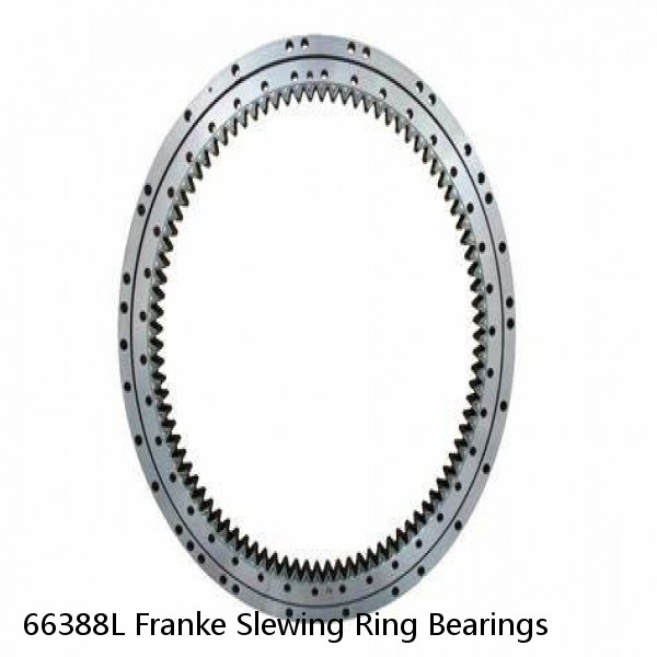 66388L Franke Slewing Ring Bearings