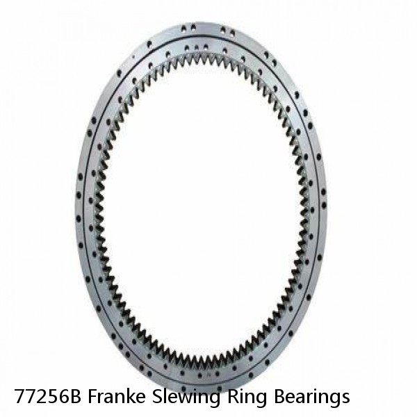 77256B Franke Slewing Ring Bearings