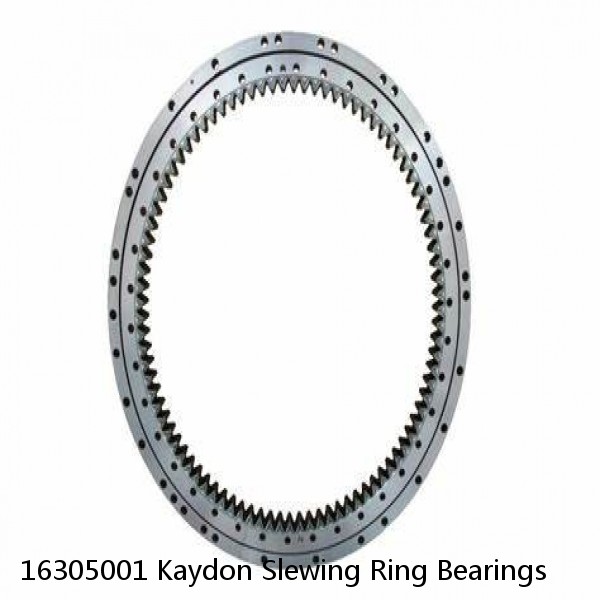 16305001 Kaydon Slewing Ring Bearings