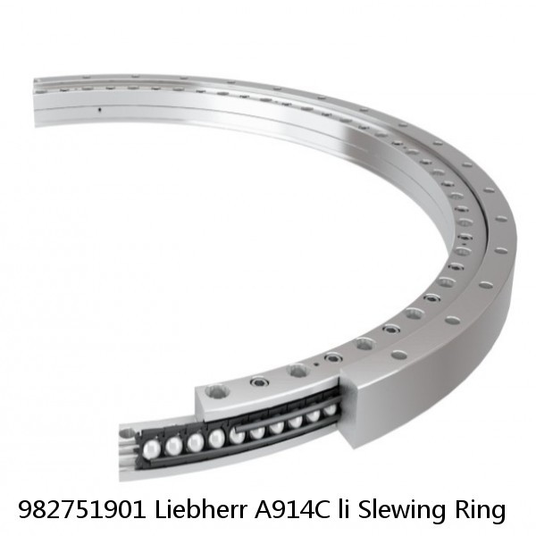 982751901 Liebherr A914C li Slewing Ring