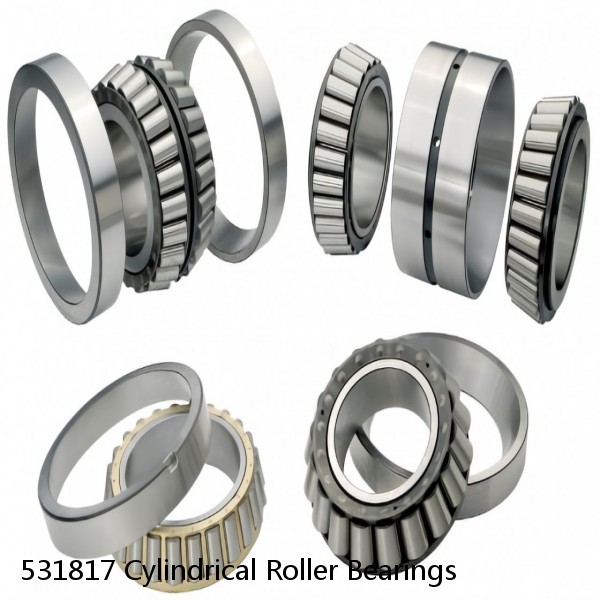 531817 Cylindrical Roller Bearings