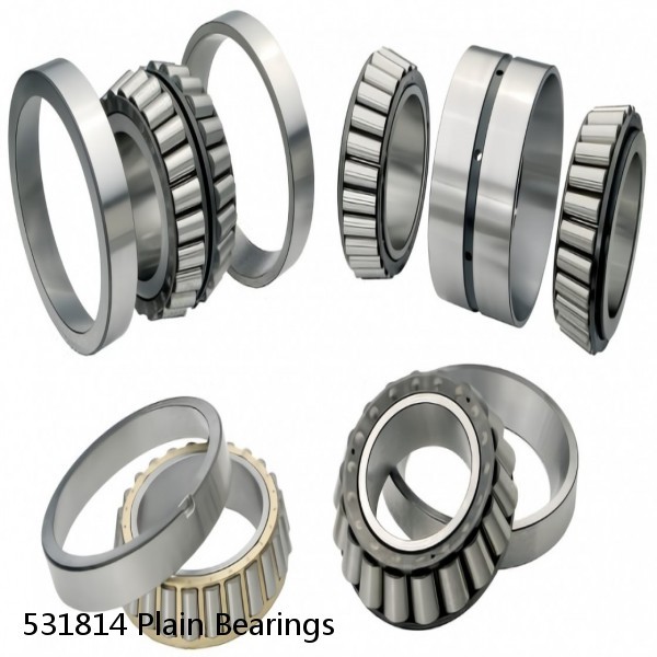 531814 Plain Bearings